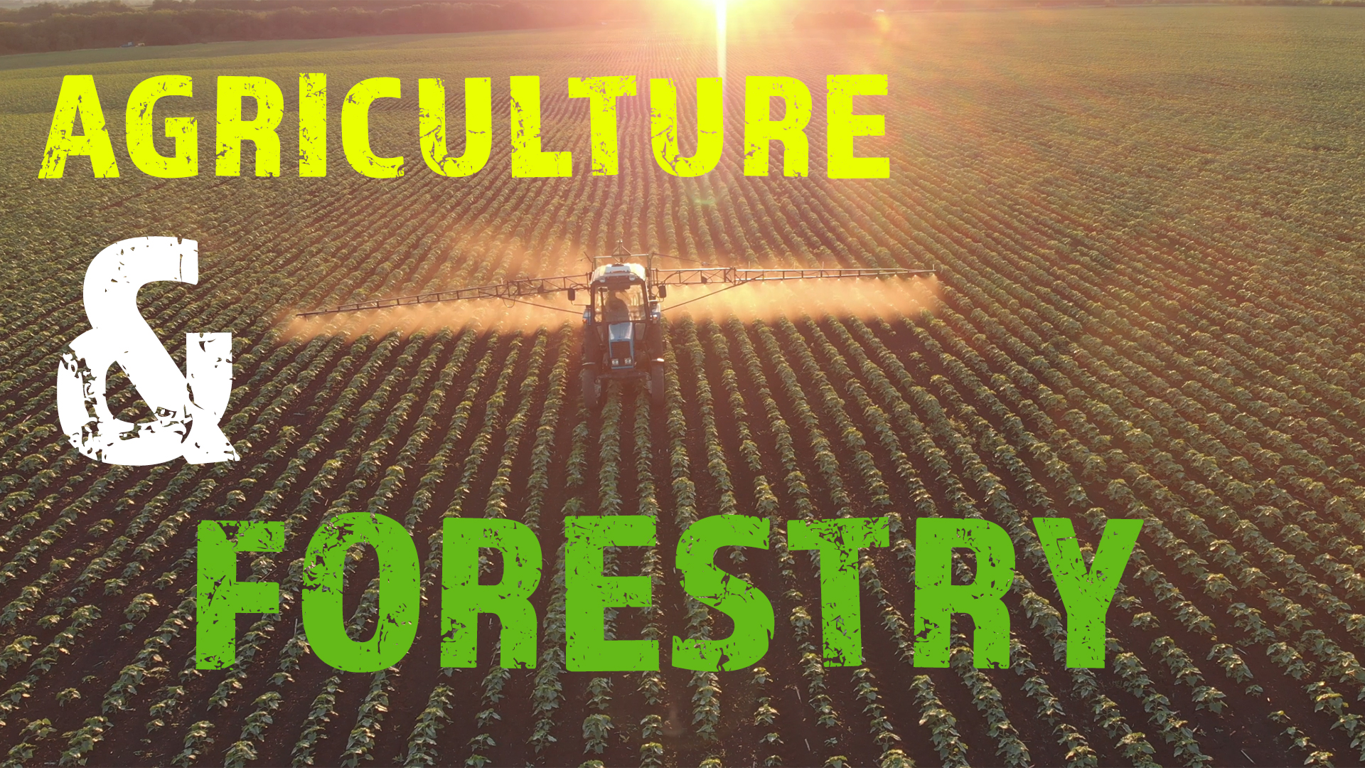 Agriculture Forestry 16x9 1